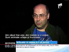 Intalnire cu animalele salbatice
