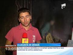 Mizerie infioratoare in casa unui bucurestean