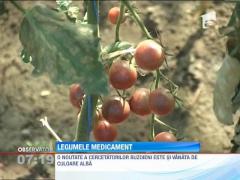 Castravetele amar, ideal pentru diabetici