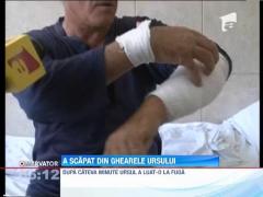 Un barbat din Sibiu a scapat cu viata in urma unei intalniri de gradul zero cu un urs