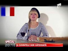 SPECIAL! Limba germana, comparatie cu alte limbi ale lumii