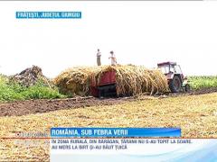 Canicula a ucis doua persoane, in Braila si Suceava