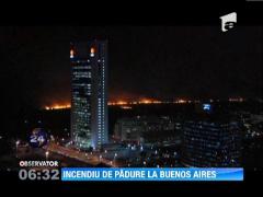 Un incendiu de padure a izbucnit intr-o rezerva ecologica de la Buenos Aires