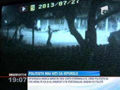 Iepure vanat de politisti