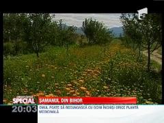 Observator Special! Vraciul muntilor