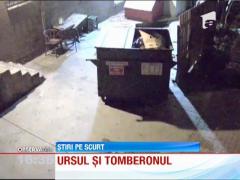 Tomberoane furate de un urs