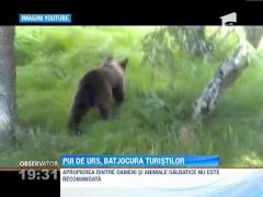 Un pui de urs, transformat in jucaria unor turisti!