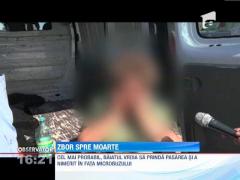 A incercat sa prinda un porumbel, dar a sfarsit sub rotile unui microbuz