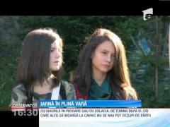 Iarna in plina vara, la Cavnic