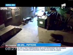 Un urs brun a furat un tomberon imens de gunoi, in SUA