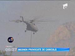 Incendiile de vegetatie fac ravagii in Bosnia Hertegovina