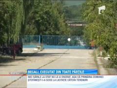 Gigi Becali, executat din toate partile