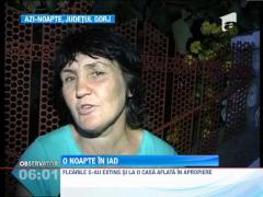 Un cazan de tuica a provocat un incendiu de proportii in Gorj