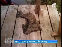 Au reinceput cautarile in cazul lui Abel Apostol! Anchetatorii au gasit probe noi