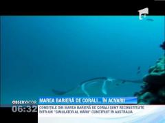 Un nou instrument de cercetare pentru Marea Bariera de Corali