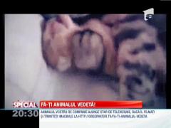Fa-ti animalul vedeta!