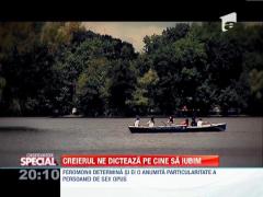 OBSERVATOR SPECIAL! Creierul ne dicteaza pe cine sa iubim