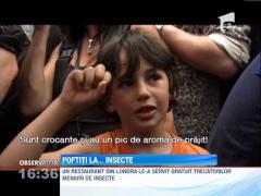 Un restaurant din Londra le-a servit, gratuit, trecatorilor meniuri de insecte