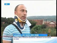 Patru oameni au fost raniti dupa ce un caine a provocat un carambol pe DN1
