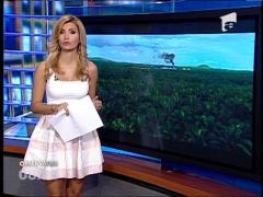 Terra a pierdut 10 hectare de padure pe minut, in ultimii 15 ani