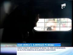 Gigi Becali vrea sa munceasca in penitenciar