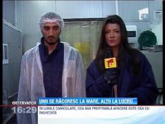 Inghetata, cea mai buna afacere in perioada de canicula