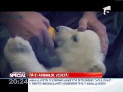 VIRAL! Cel mai jucaus urs polar