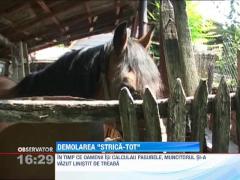 Demolare cu scandal, la Arad