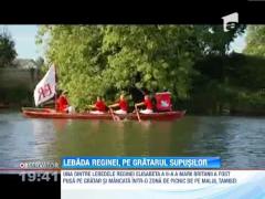 O lebada a Reginei Elisabeta a II-a, mancata pe gratar intr-o zona de picnic