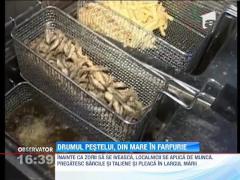 Drumul pestelui - din mare in farfurie