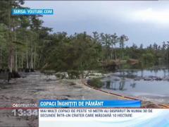 In Louisiana, copacii sunt inghiti de pamant