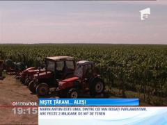 Politicienii indragostiti de agricultura