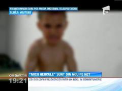 Micii "Hercule" apar intr-un nou filmulet socant pe internet