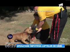 Operatiune impotriva luptelor de caini, in SUA