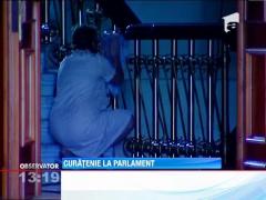 Curatenie de toamna la Parlament