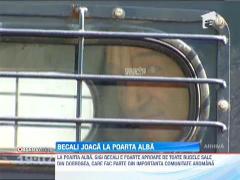 Observator de weekend