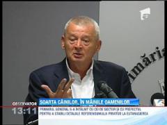 Sorin Oprescu vrea sa organizeze REFERENDUM pentru eutanasierea cainilor