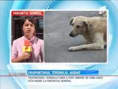 Proprietarul terenului, unde Ionut a fost omorat de caini, audiat de procurori