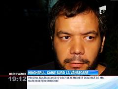 Moartea lui Ionut si eutanasierea cainilor fara stapan invrajbesc Romania