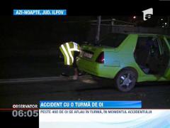O masina a spulberat 12 oi, pe soseaua Bucuresti-Magurele