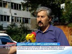 Chinurile adoptiei umplu adaposturile