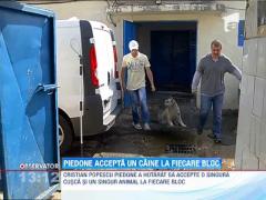 Cristian Popescu Piedone a hotarat sa accepte un caine la fiecare bloc