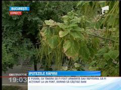 Ipotezele rapirii din Iasi