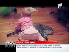 VIRAL! O pisica a devenit jucarie pentru un bebelus