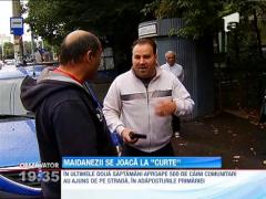 Legea maidanezilor, atacata la Curtea Constitutionala