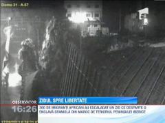 Imigrare ilegala in grup