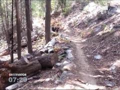 Un turist american, fata in fata cu ursul. Cum a scapat de animal