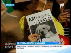 Proteste impotriva legii eutanasierii, in Bucuresti si Brasov