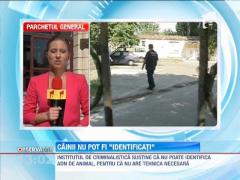 Institutul de criminalistica nu poate identifica ADN de animal in cazul uciderii lui Ionut Anghel