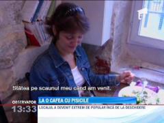 O cafenea din Paris le ofera clientilor compania pisicilor